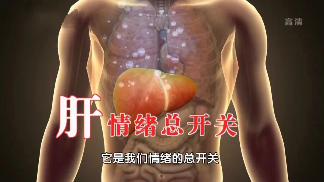 春日养肝正当时! 药食同源, 一泡鲜甜润, 全身暖洋洋!