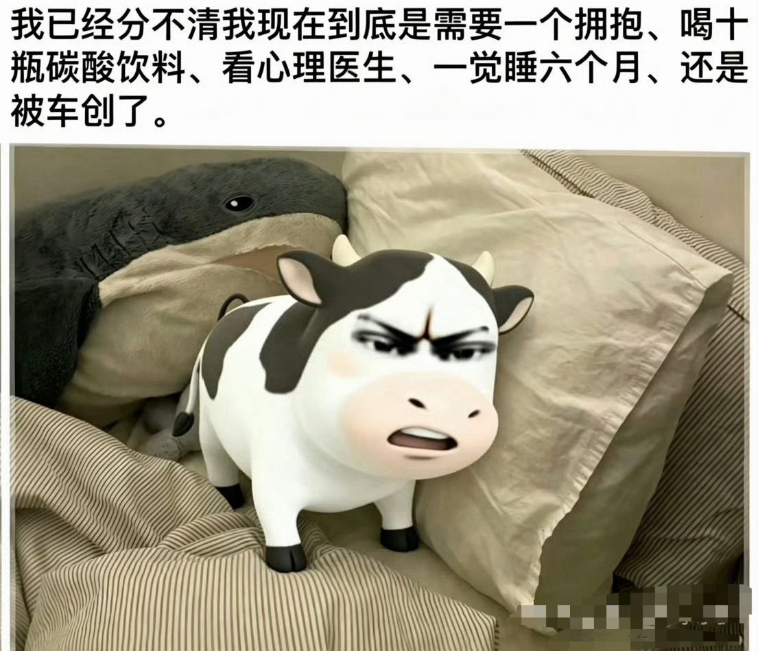 快宣发！！！快三开！！！！ 