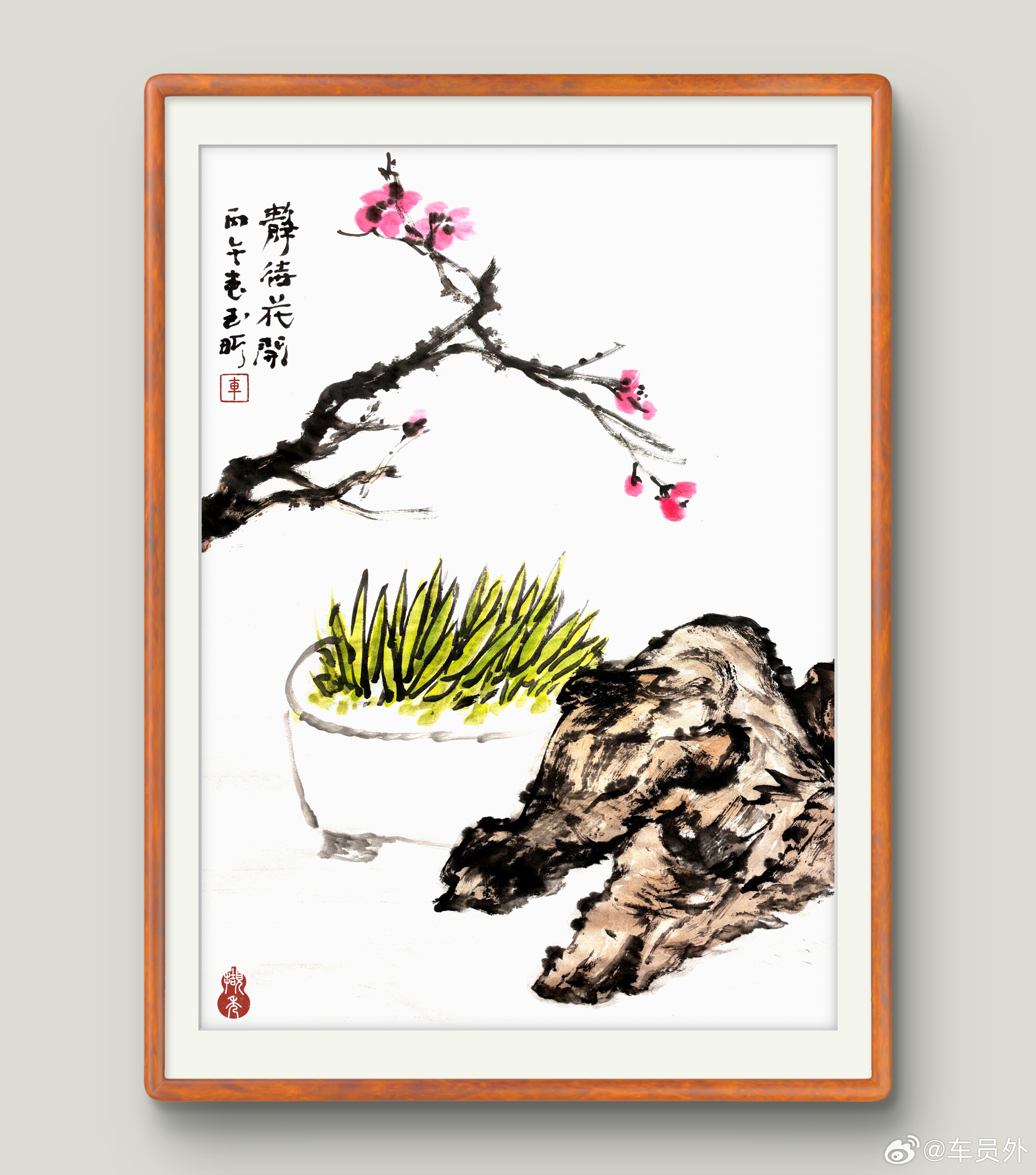 岁数大了觉就少。一早起来弄花草。 