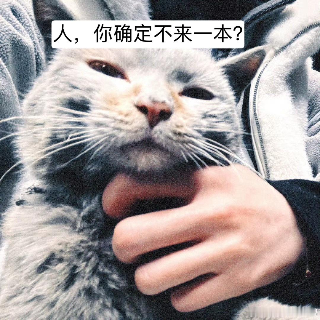 赵露思小猫咪是不是不能烤炭火要看小猫咪，也不要忘了明天赵露思首登一线男刊时尚先生