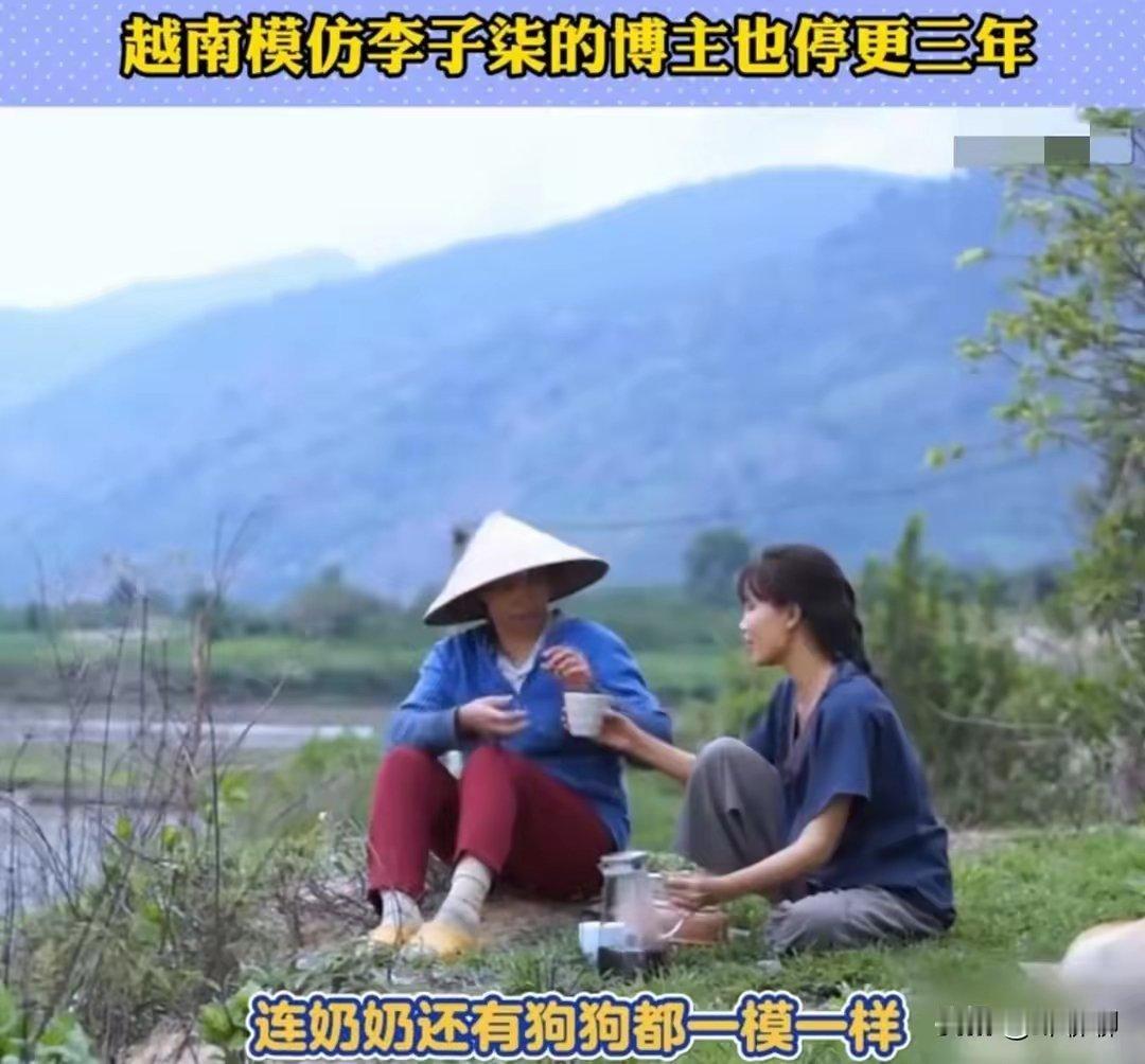 所有人都没想到的是，三年下来，远在越南的一位博主已经绝望了。李子柒，你什么时候回