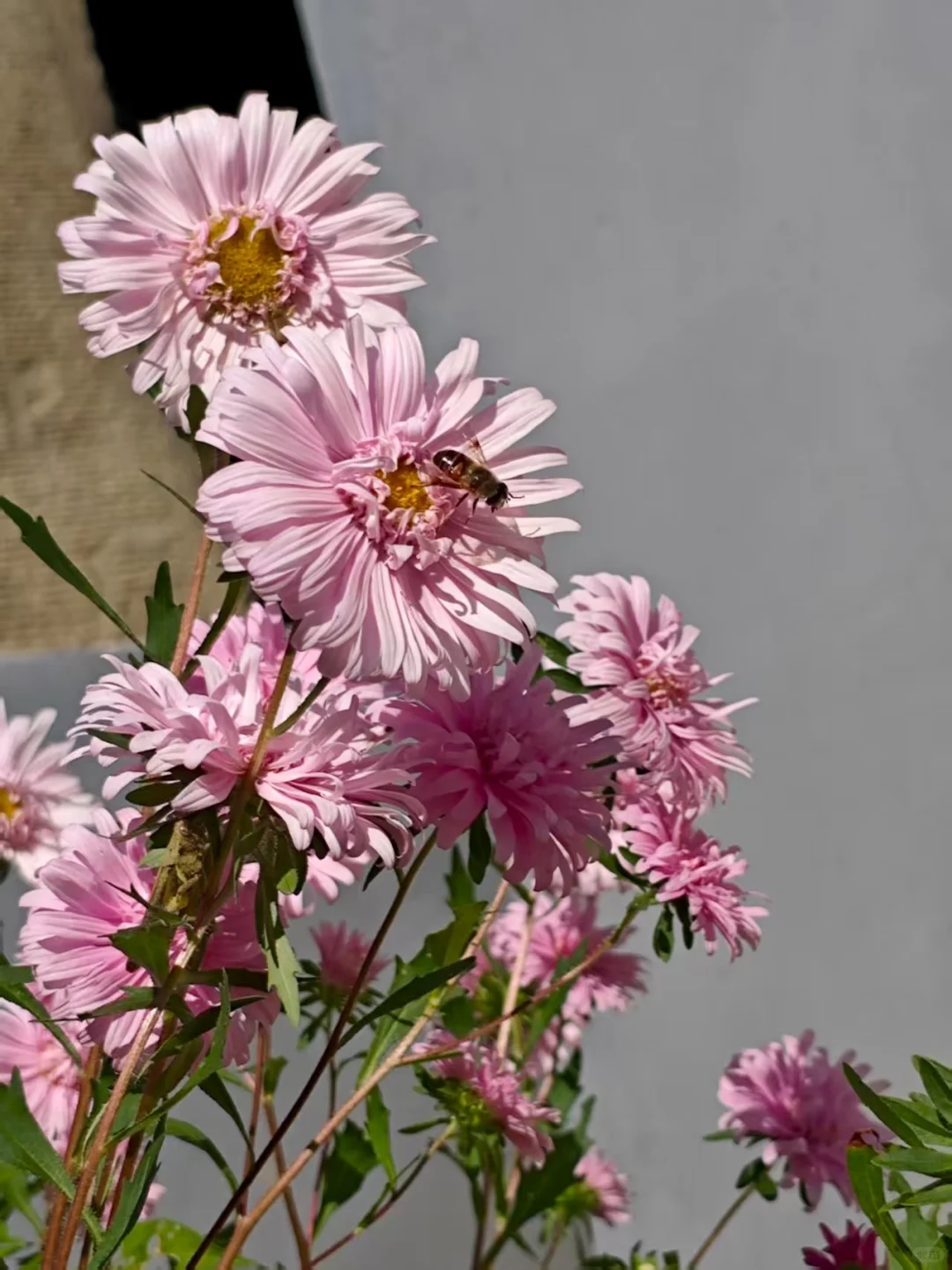 传统文化再应用（4）