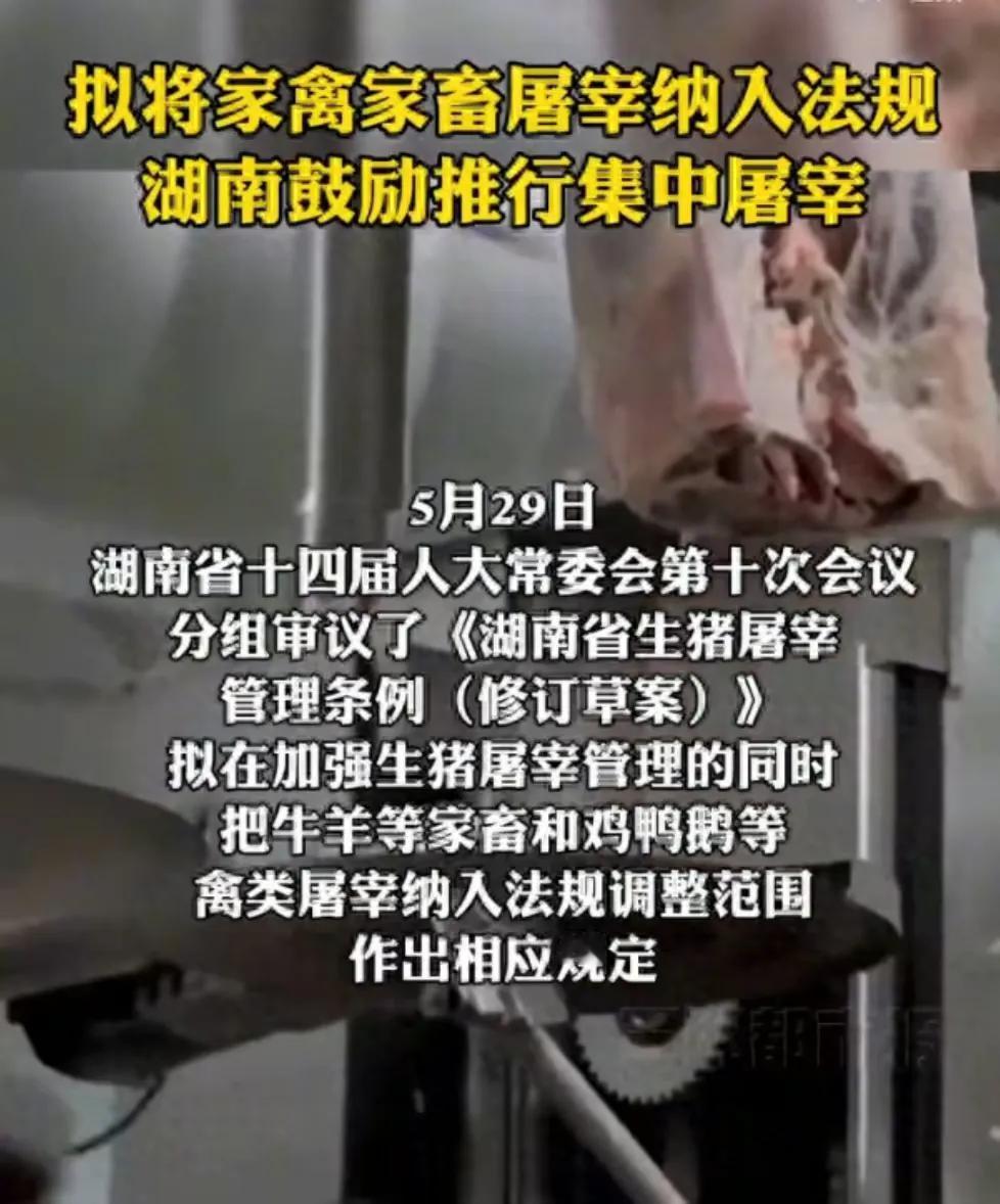 农民鸡、鸭、鹅要到指定地点屠宰。也就是说农民养的鸡鸭以后要宰杀，必须将其运送到政