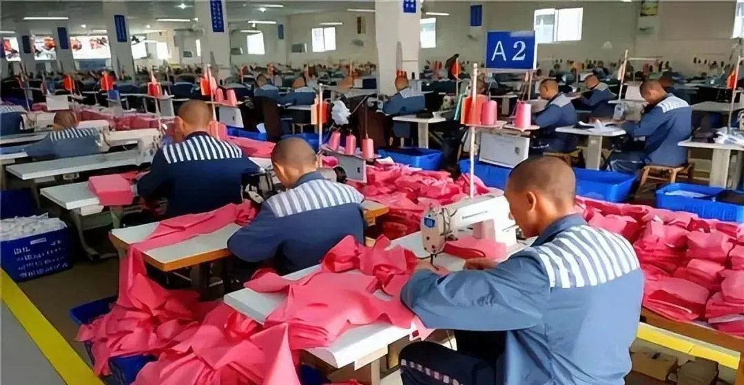 垃圾真的不够烧垃圾不够烧的背后，其实是还是有相当数量的“非集中填埋垃圾”流散在城