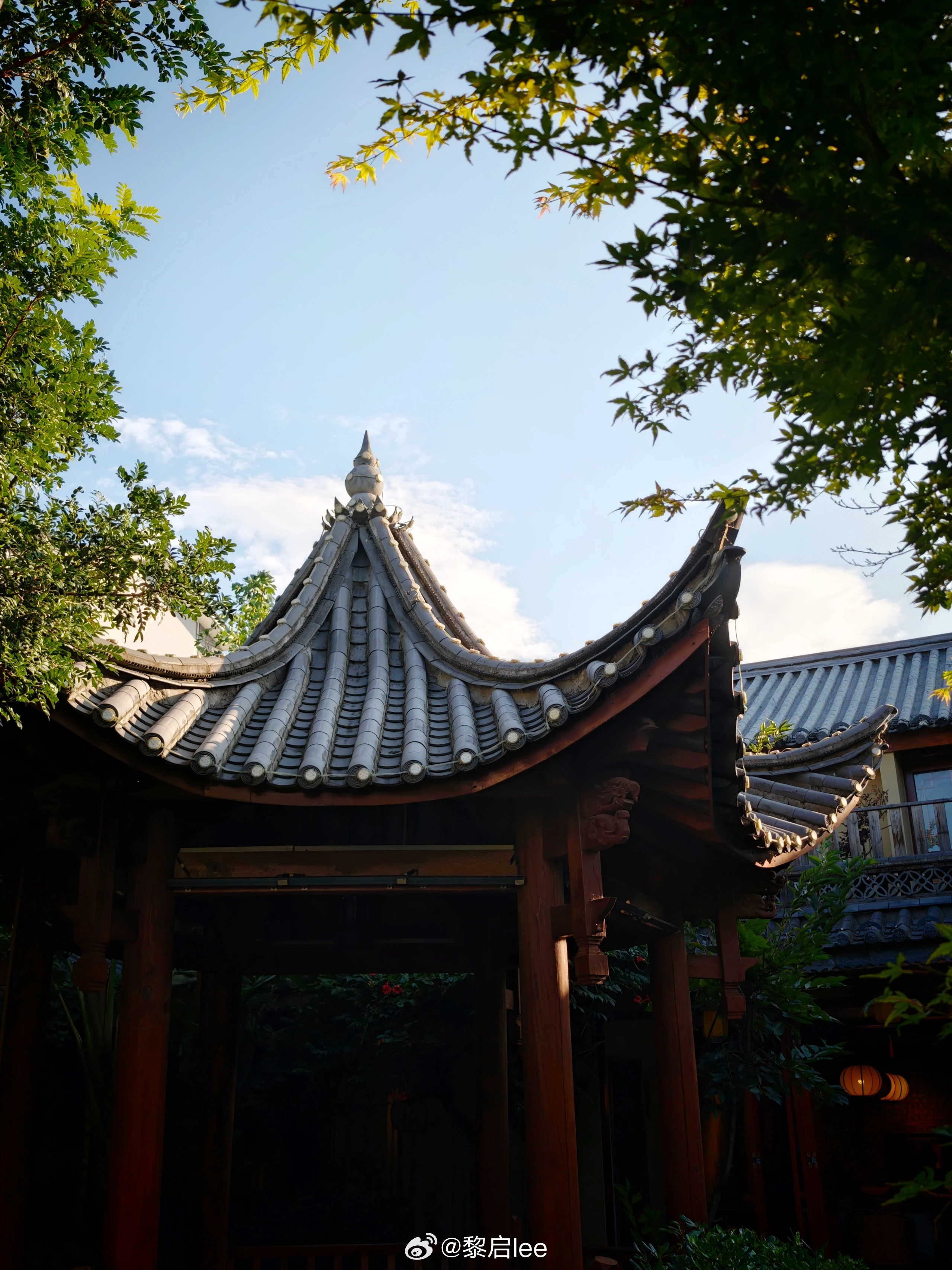 最近随手拍。📷 ​​​