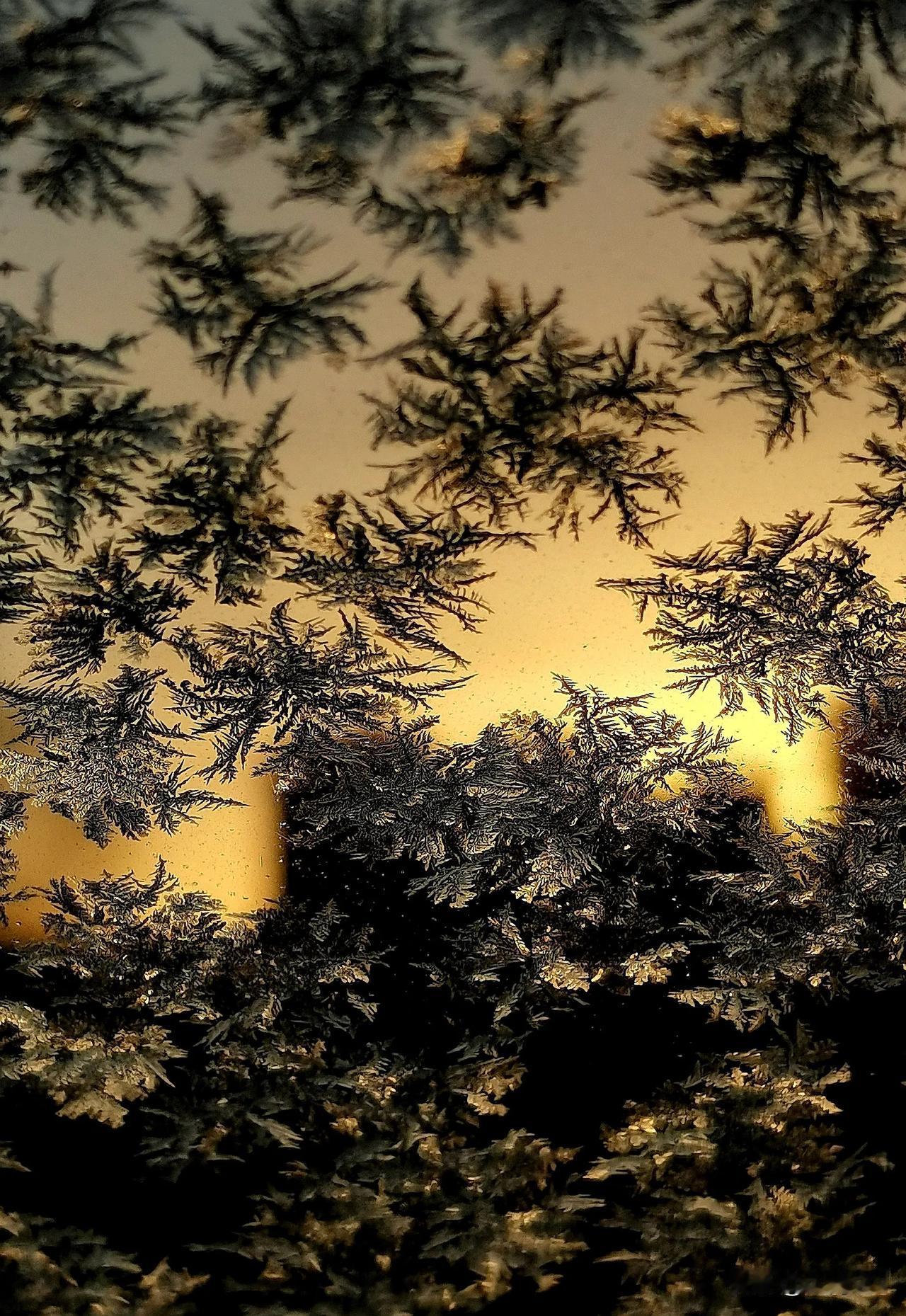 （原创）
霜花如画