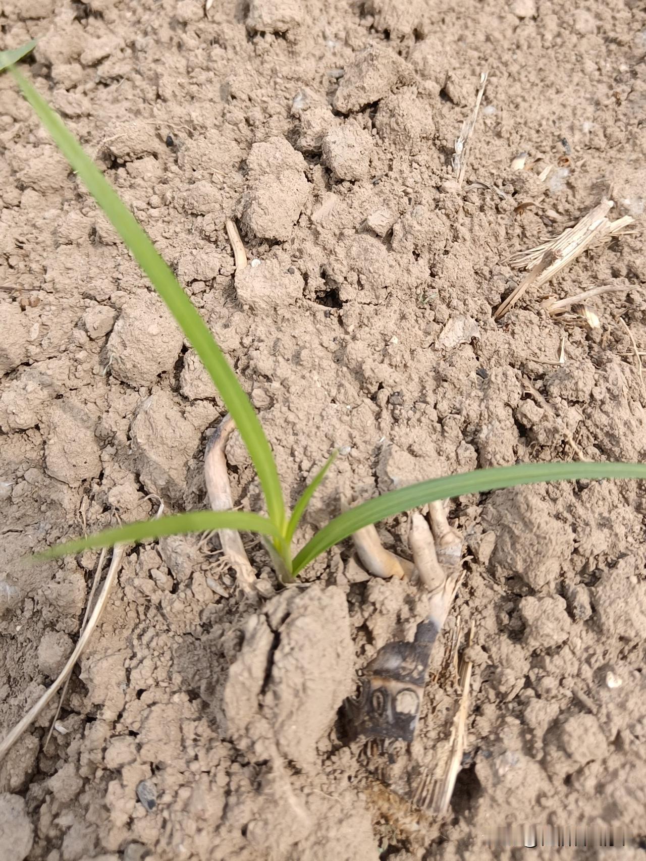 人在何种维度，便见何种风景。
意识的深浅，决定了看世界的高度与清晰度。
意识愈自