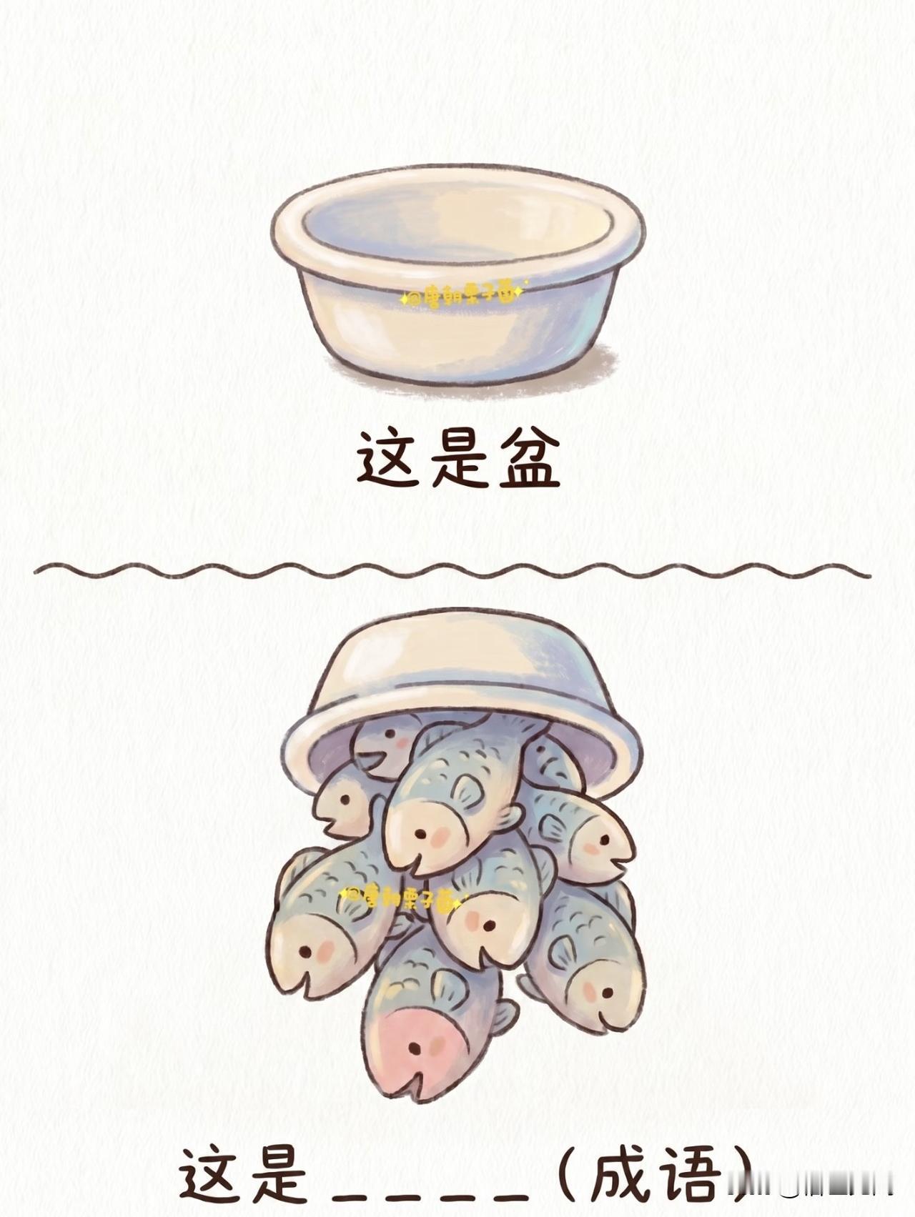 快快快来看图猜成语  ，看看谁更胜一筹