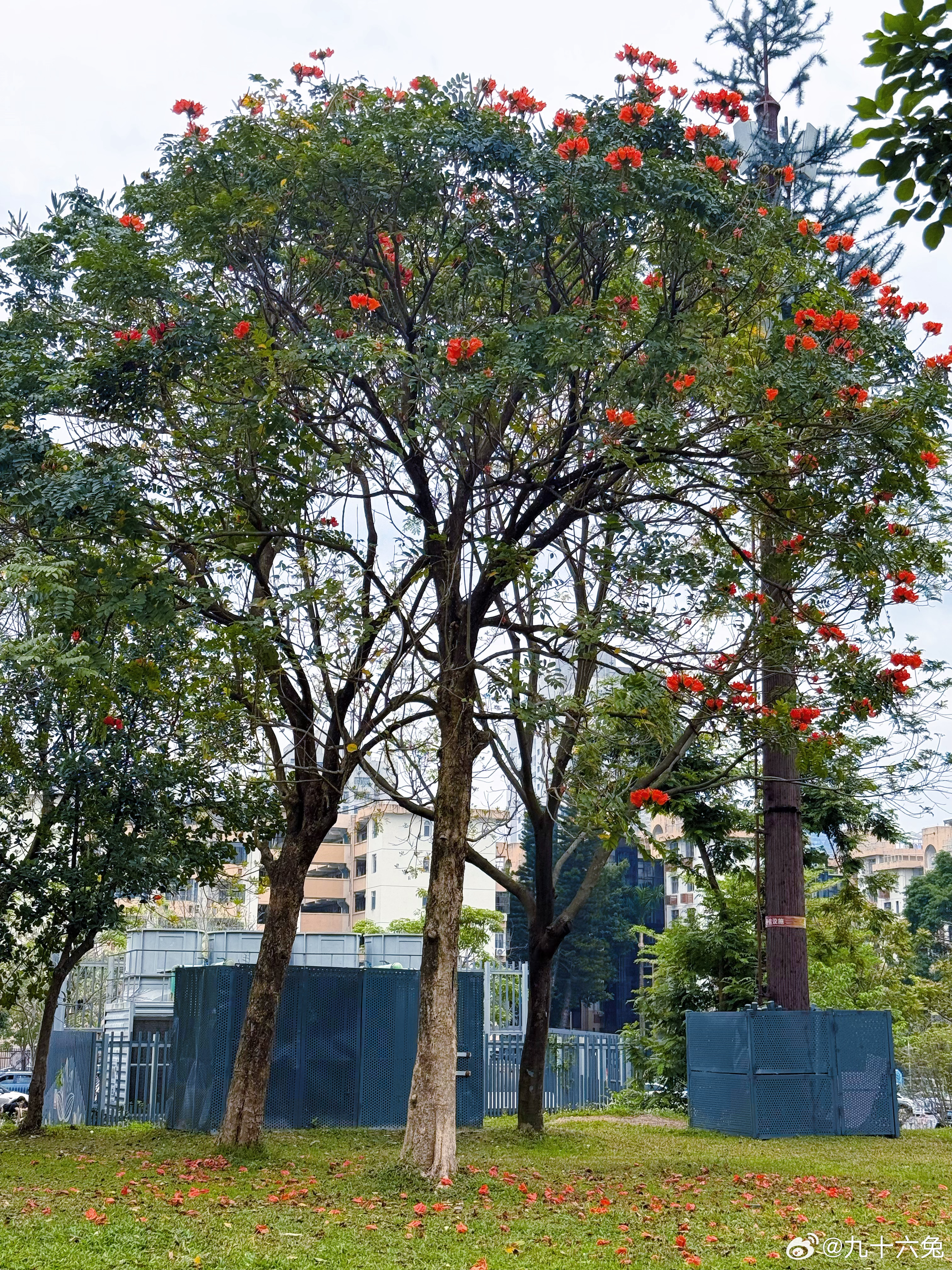 我认为我自己打游戏不算很厉害的结果遇到比我还屎的屎的离谱，从没遇到过这么菜的 邀