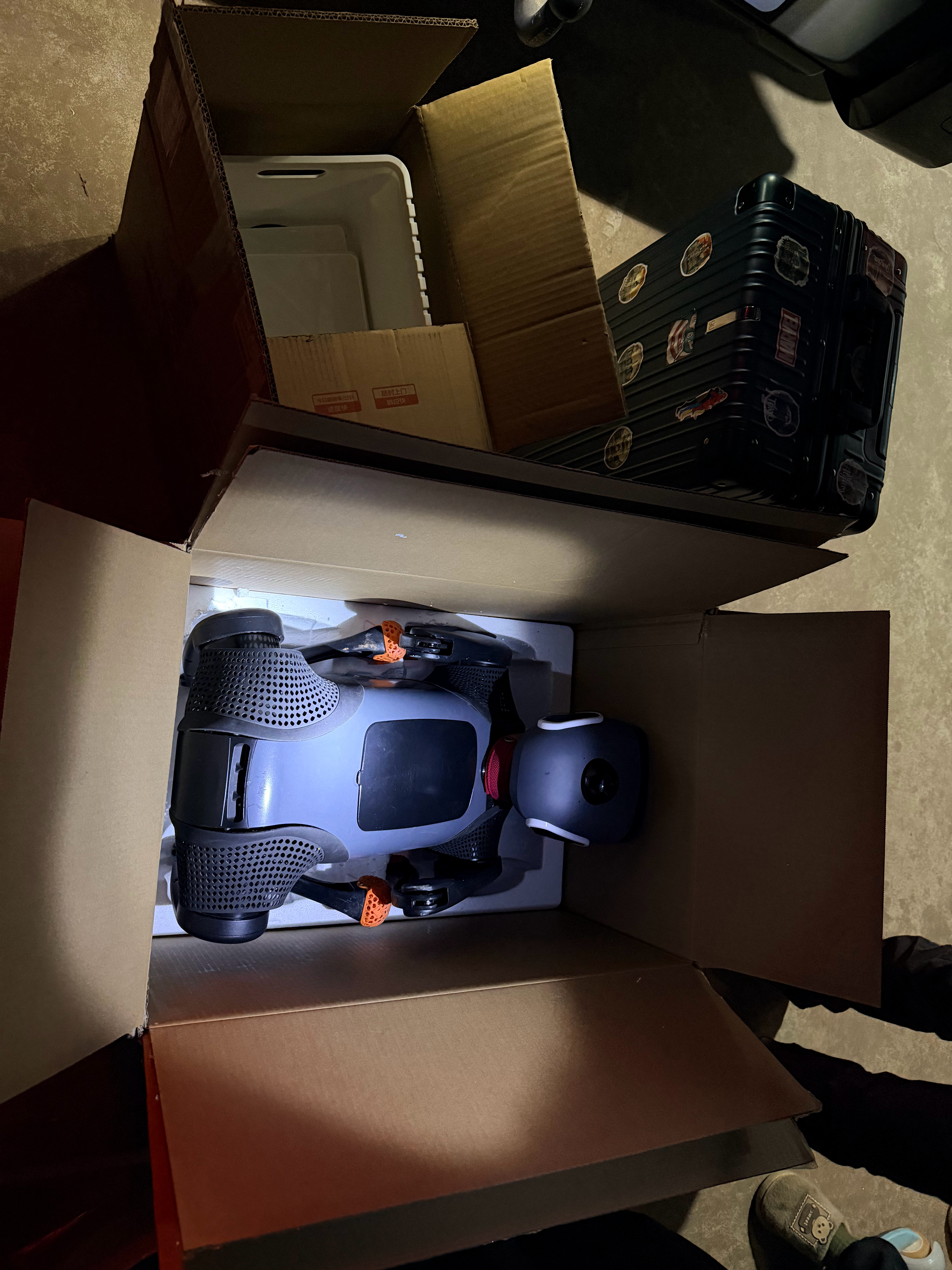 大头的开箱还没发，就要装箱了过完节了，明天正式营业～vbot超能机器狗