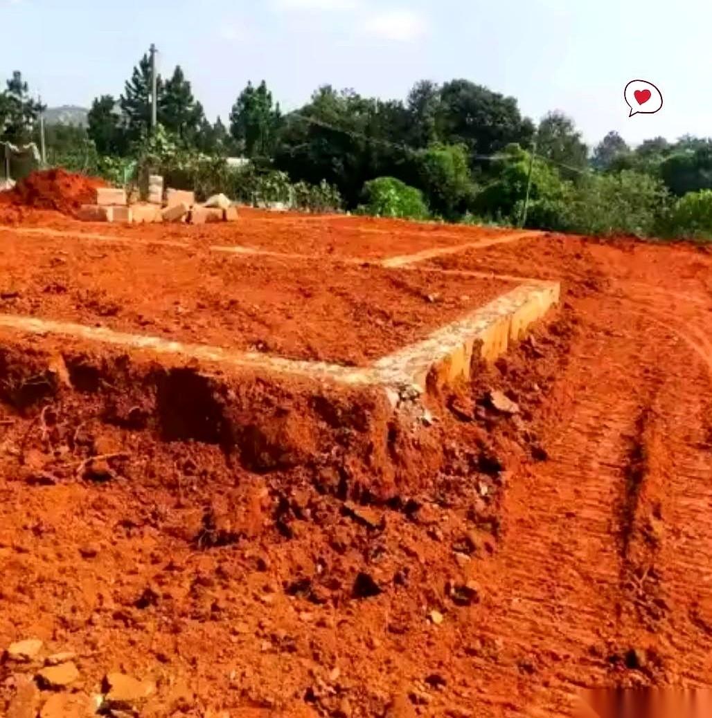 挖机师傅猛地一脚刹车，冲我爸直摆手，说底下铲着硬东西了！
不是石头。我爸凑过去用