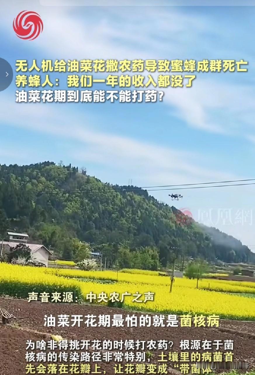 不要以谣传谣 ，要相信科学，相信权威媒体发布， 让科技服务人类 ！

近期正值全