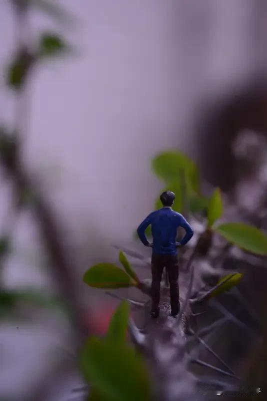 去魅的核心逻辑
不去魅＝自我矮化、
能量持续耗散，永远活在对方的光环与压制之下，