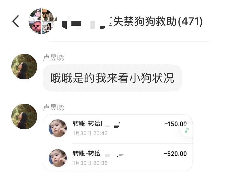 我们卢昱晓完全天使来的卢昱晓给受伤小狗捐款参与救助小狗没想到偶遇了卢昱晓