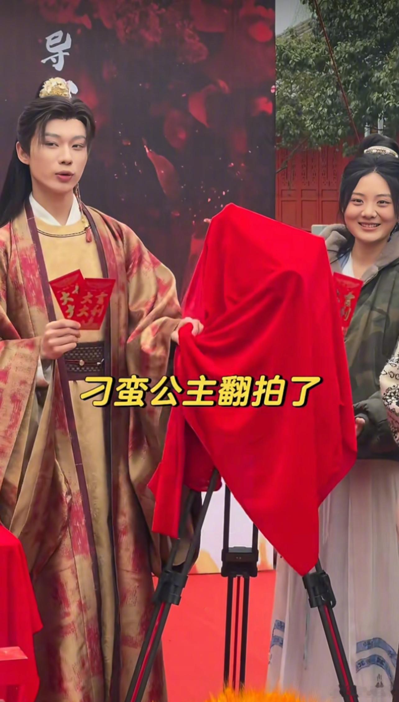 《刁蛮公主》翻拍 ​​​