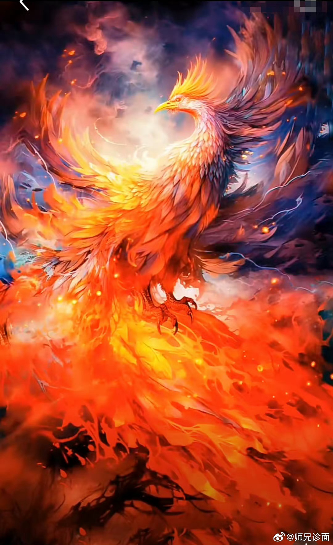 只有经历过涅槃之痛，才配得上重生之美。这只凤凰可以带你浴火重生。礼赞，留下一句：