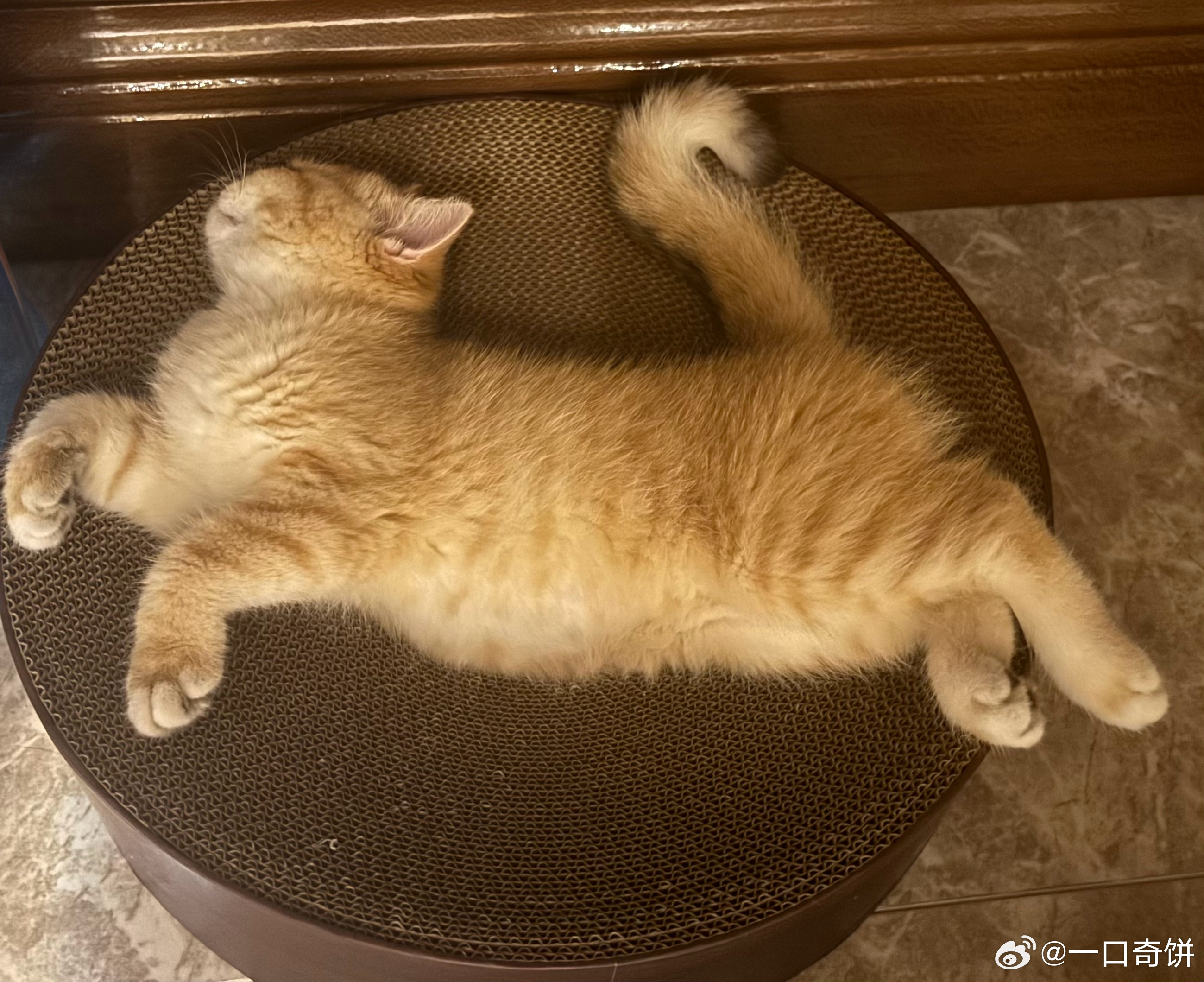 睡成这样子 