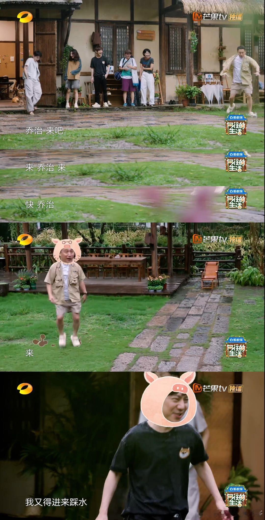 蘑菇屋版小猪佩奇 蘑菇屋又现欢乐名场面！向往的生活 里黄磊提议演《小猪佩奇》，何