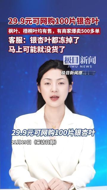 现在的人连树叶都懒得捡了？！

29.9元能买100片银杏叶，枫叶、梧桐叶也