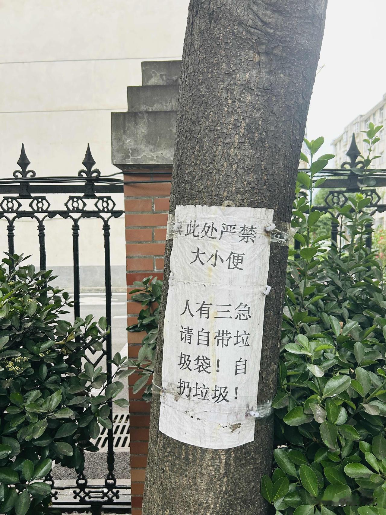 真蹊跷，昨天傍晚我外出散步，在一个住宅小区的围栏旁，发现一棵树上竟贴着一张白纸打