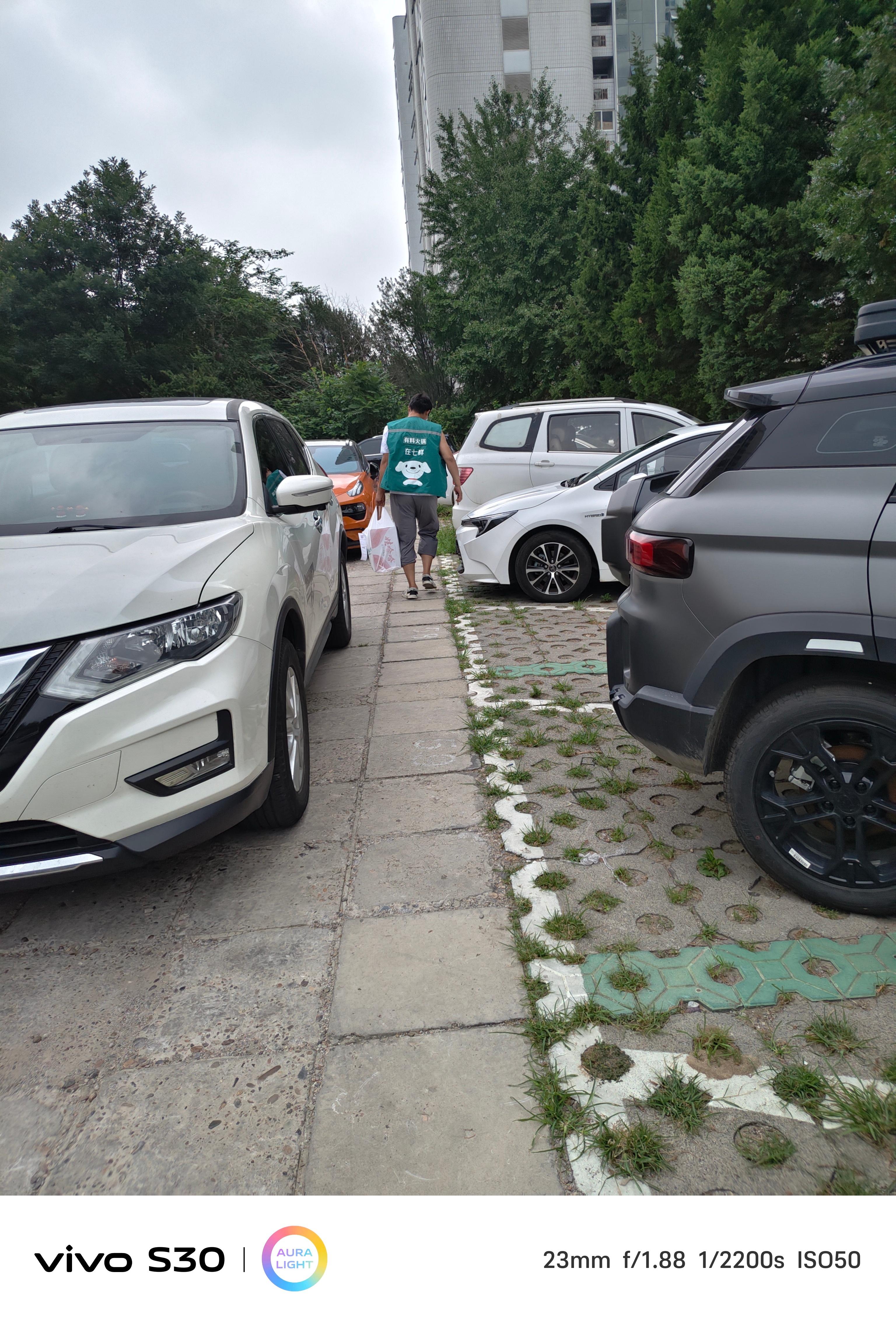 京东的七鲜超市开始地推了，每次我去拿快递给我推，我问有拼多多便宜吗？工作人员说没
