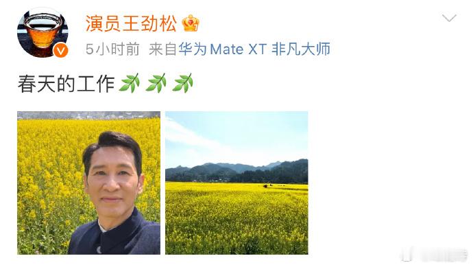 王劲松老师微博日常，无雕饰的烟火气，字里行间皆是沉淀。于喧嚣中守本真，展老艺术家