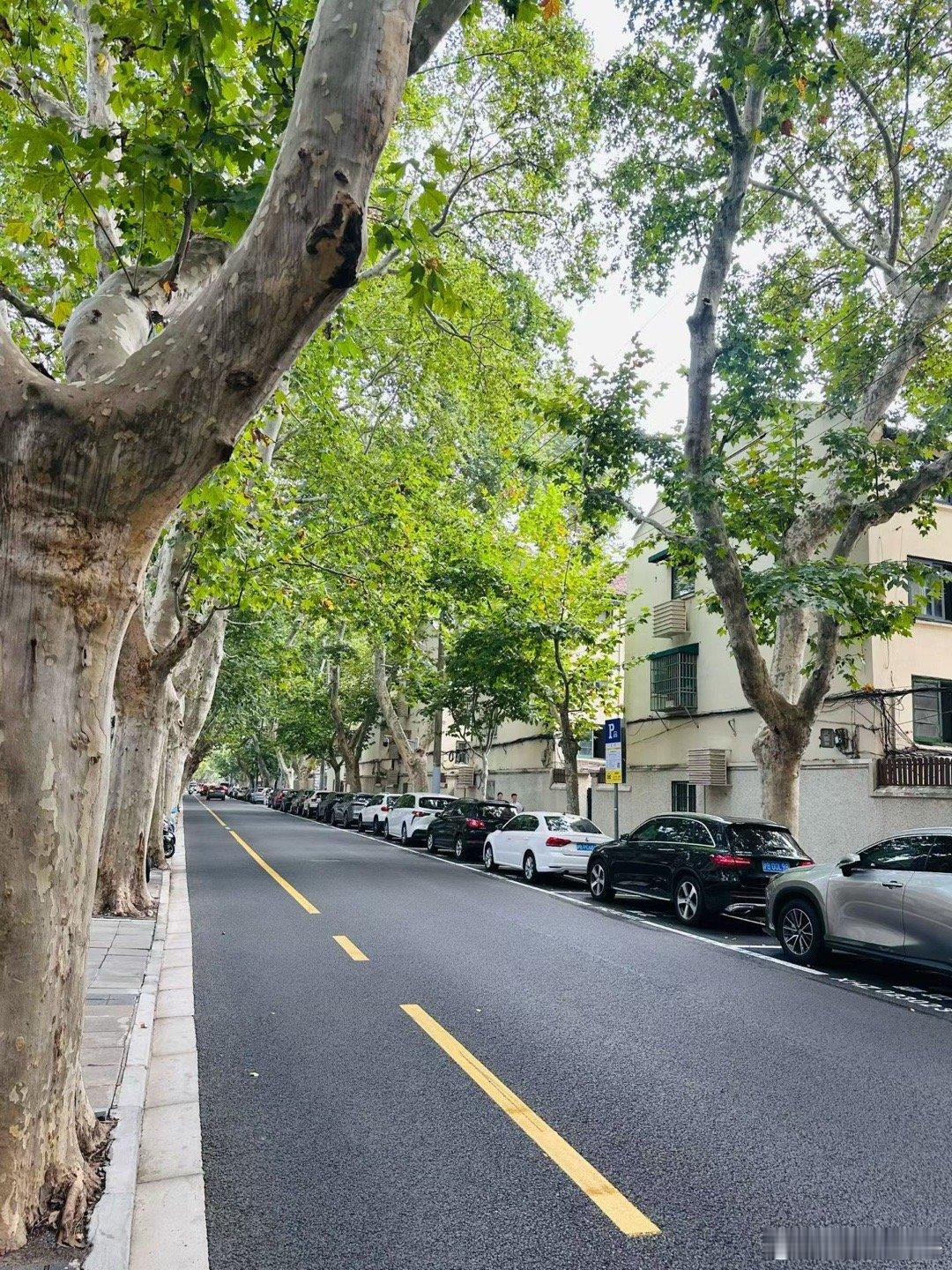 龙生龙，凤生凤，老鼠生来会打洞。那些超越了自己原生家庭，并走出一条大大小小创业道