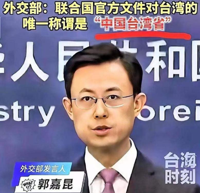 太提气了！联合国直接定名中国台湾省，台湾那几个伪名号彻底凉透了，这事儿真的大快人