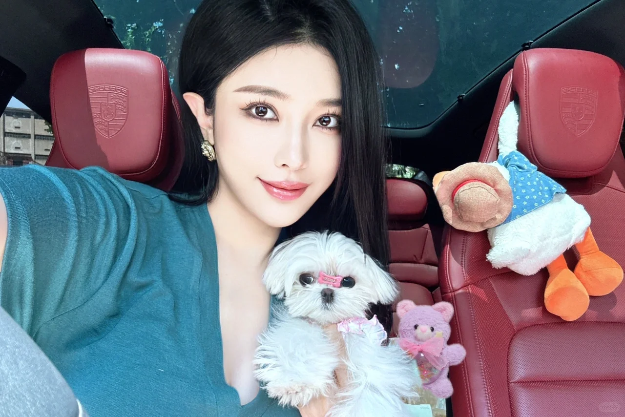 我的狗狗 我最好的生活搭子