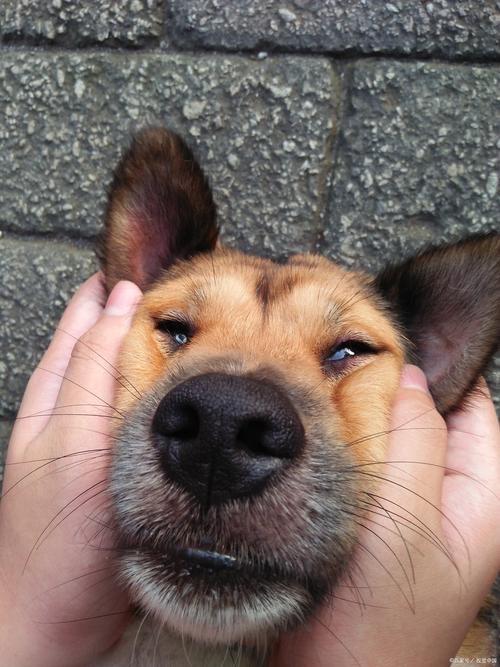 现在失业的人为啥越来越多？这几个真相太扎心

最近刷到好多人吐槽找工作难，身边也