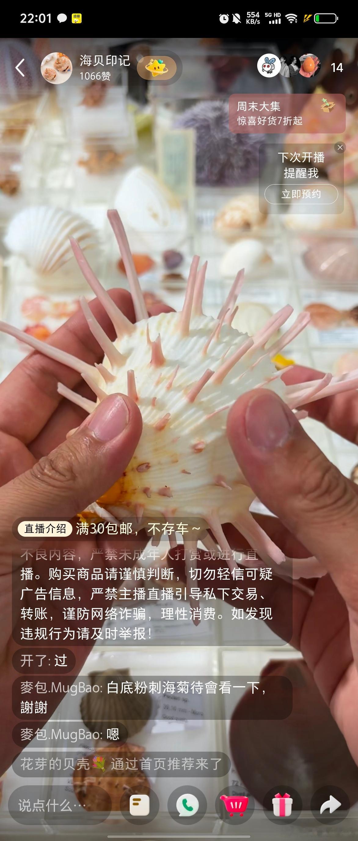 可能也是要告别买贝壳了这一颗一点都不完美的已经要价1800了