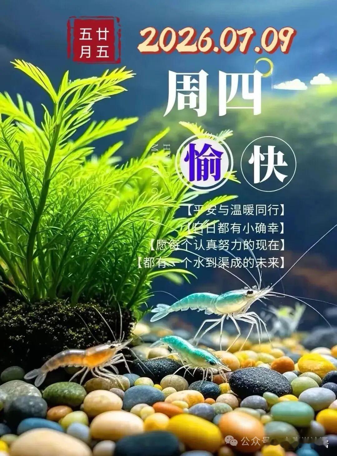 现在到处可见大学生毕业，甚至是硕士、博士毕业生。虽然毕业的多，但是找工作太难了，