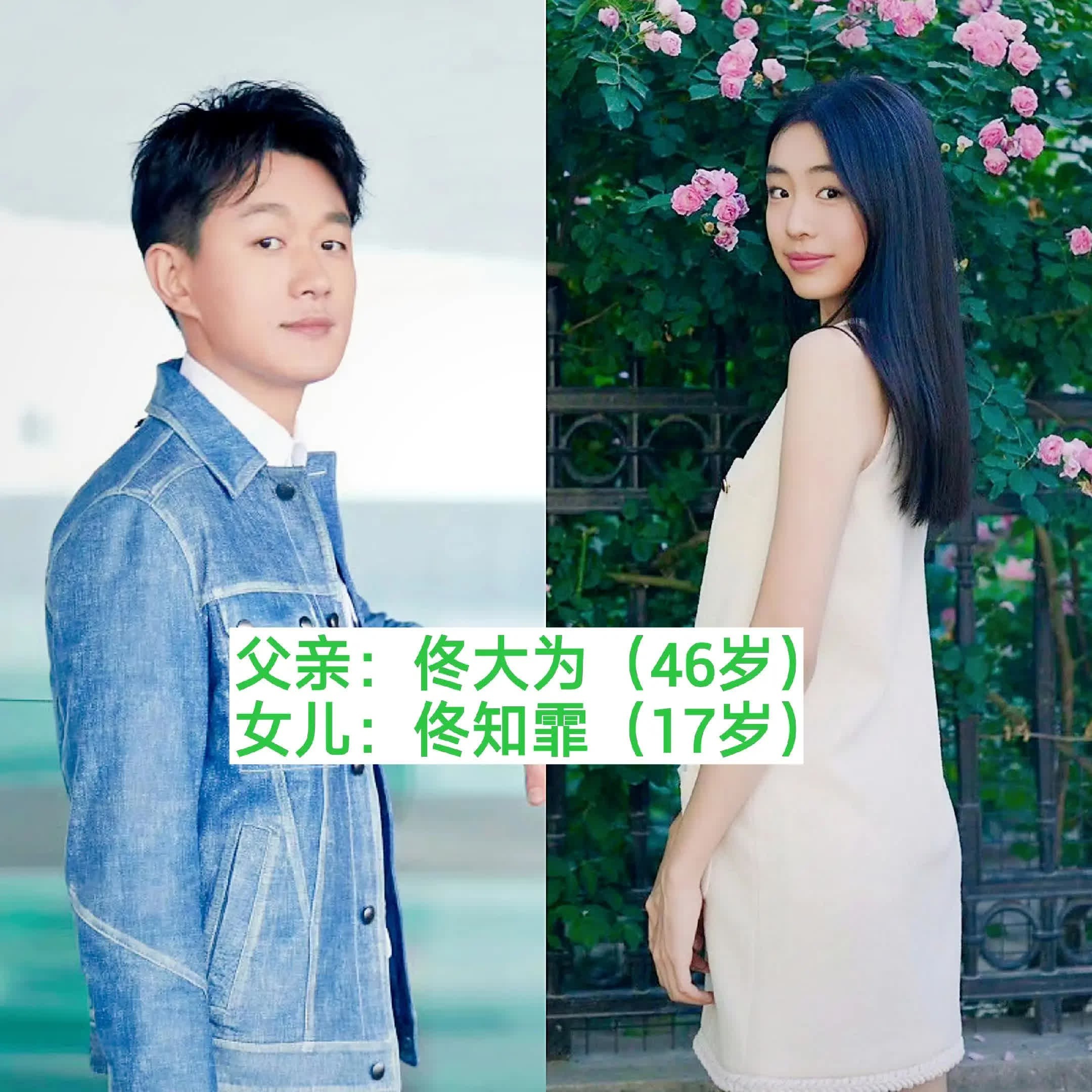 几组是哈哈你喜欢的明星吗父女，哪组基因强大！父女同框合拍女儿是爸的小棉袄相似度 