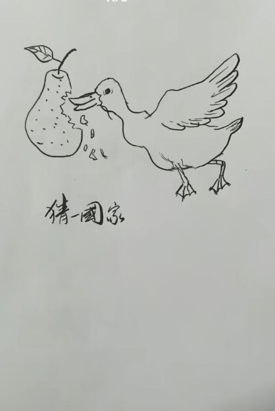 〔看图猜地名〕根据图中画面，有梨和鸭子。谐音猜个地名。温馨提示：此地名为外国地名