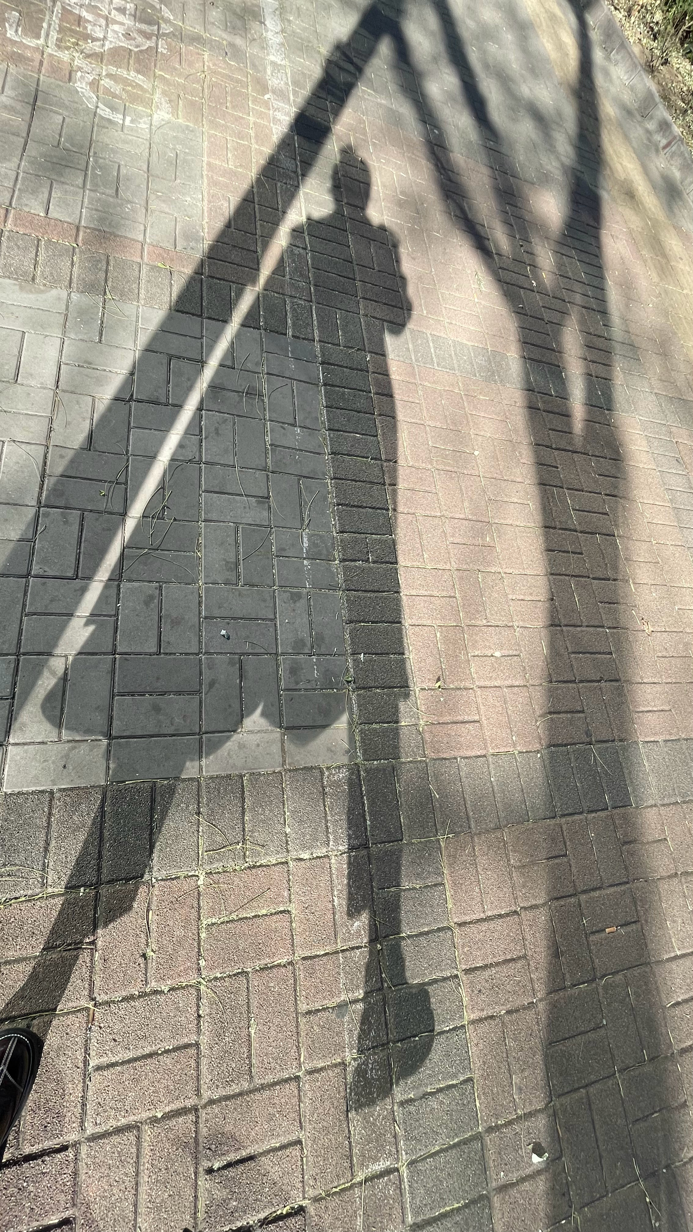 下楼晒阳阳、补补钙、长长个儿[比耶][比耶]BJ今天风不大但俺还是穿上了“许文强