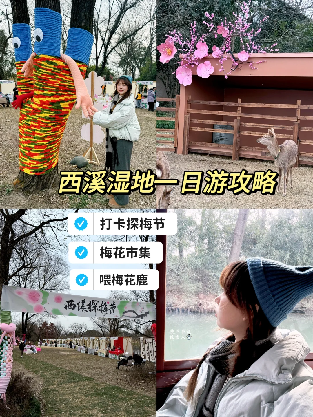 西溪湿地1日游【含探梅节】保姆级攻略‼️