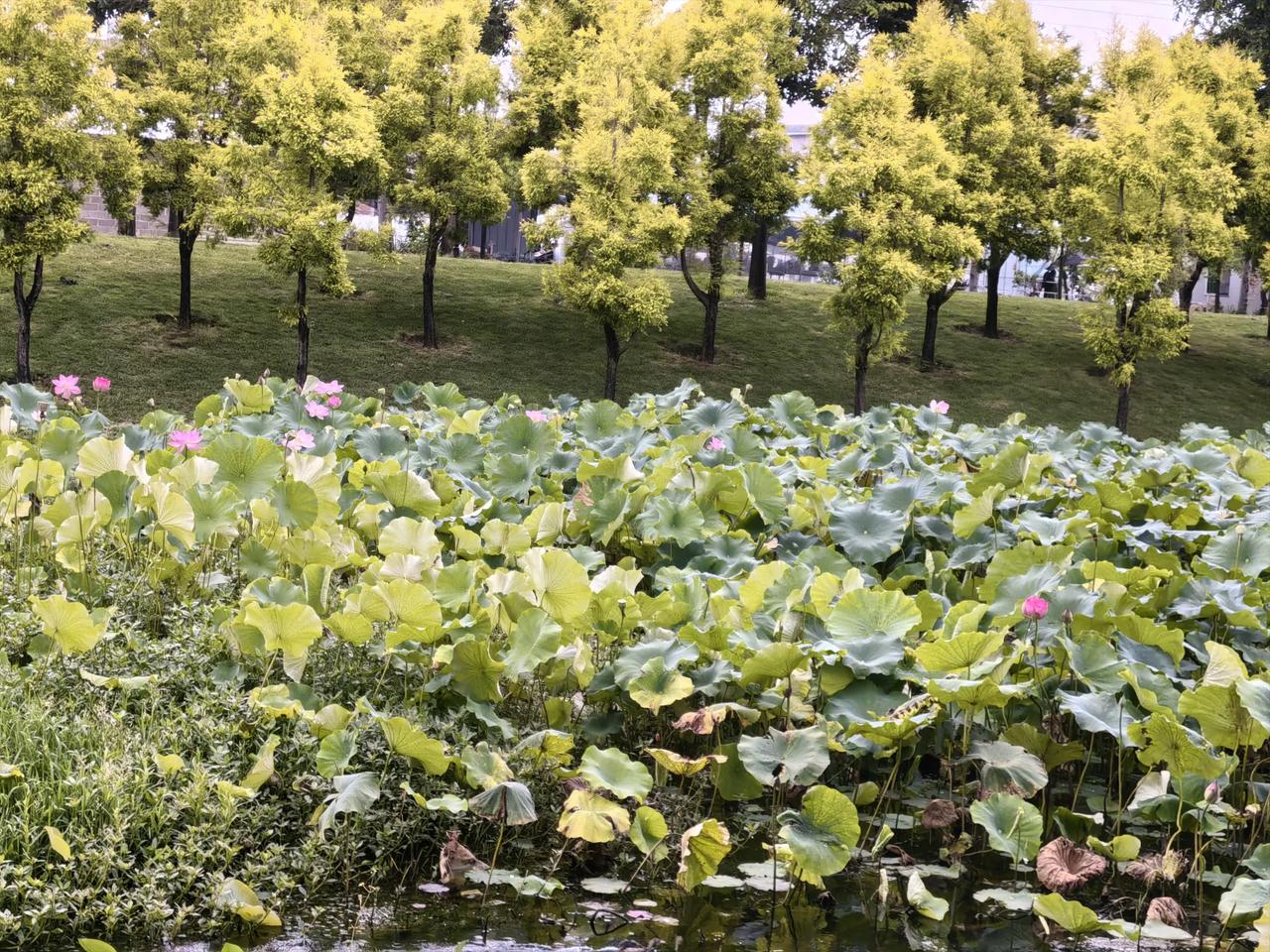 1.变化即是危机，在大部分的工作中，很多东西是重复的，周一到周五，可能每天的工作