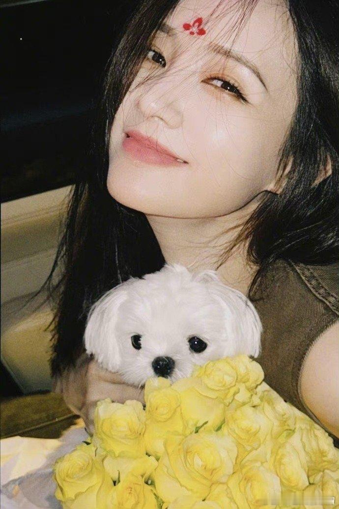 #李一桐黄玫瑰捧花照#我不允许还有人没看过李一桐七夕黄玫瑰捧花照！！也算是和pl