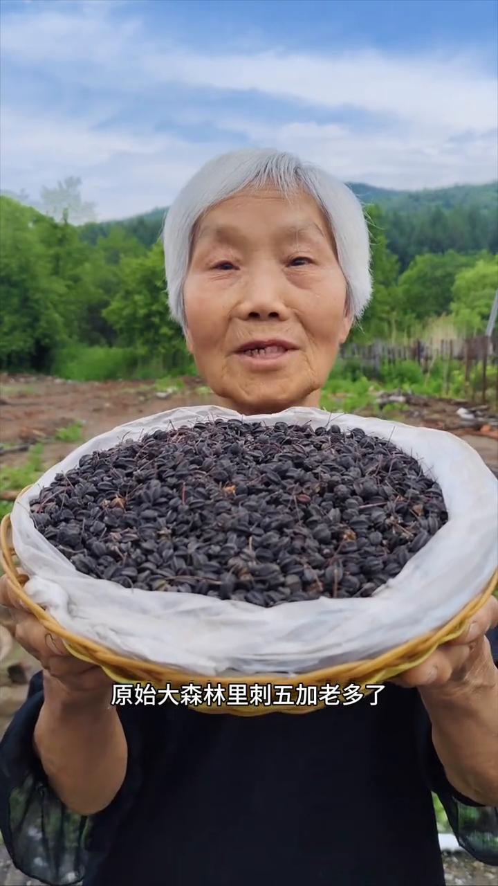 黑龙江原始大森林纯野生的刺五加籽。
我家是小兴安岭的主脉原始大森林，这是邻居家采