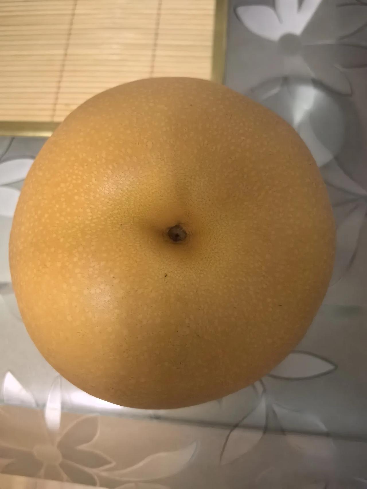 今年的秋月梨很便宜，大集上两块钱一斤，去批发一块，一块五毛钱，你说果农赚什么钱？