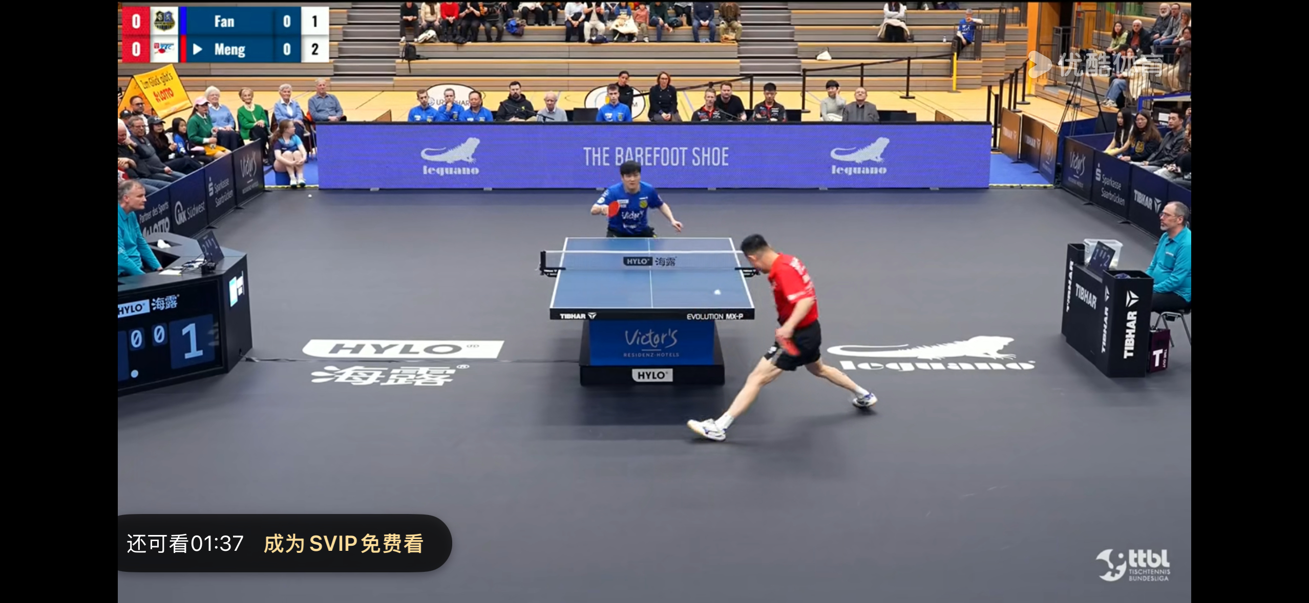 看看看～东子加油～ 