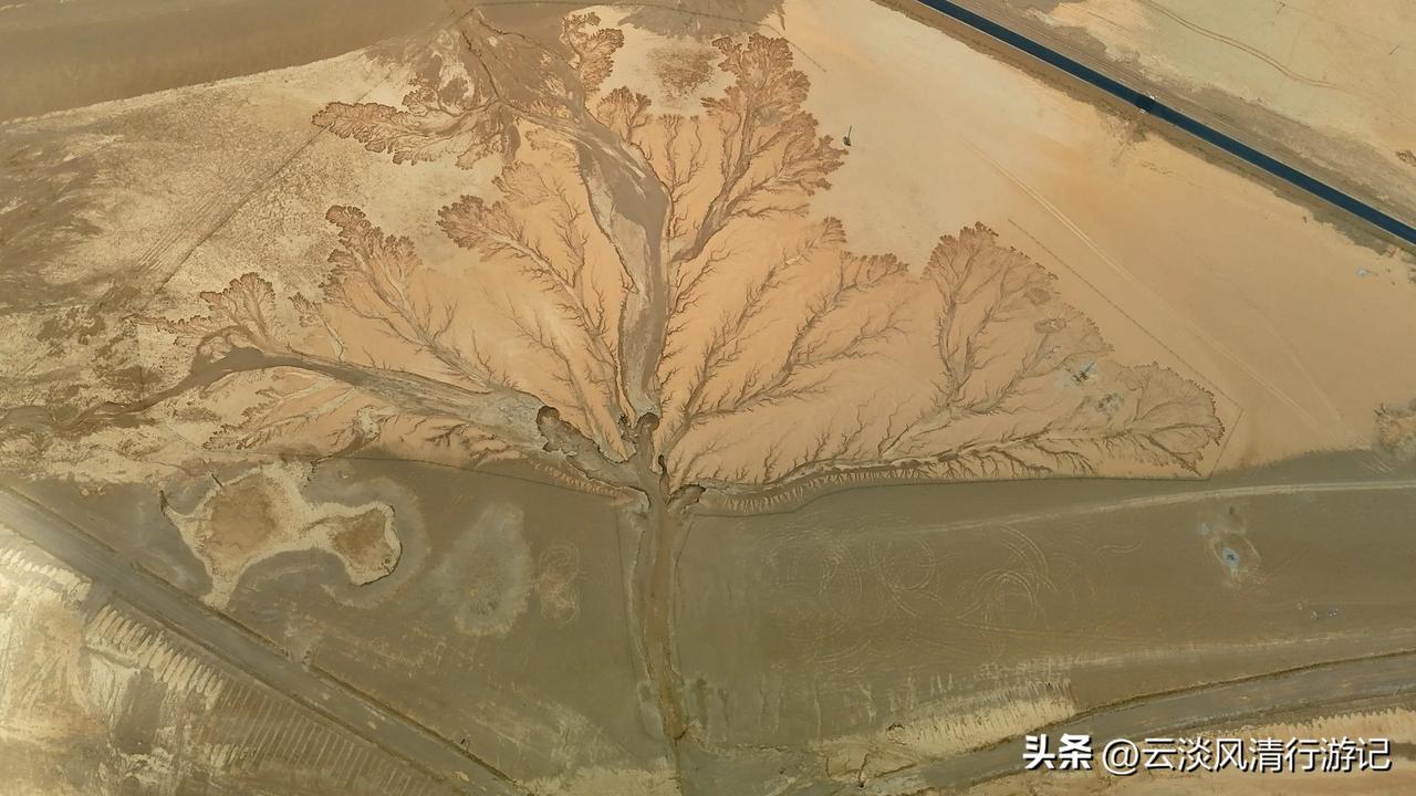 阿里北线“一措再措”之：洞措及“大地之树”
​
从措勤县出发，西行是继续穿越阿里