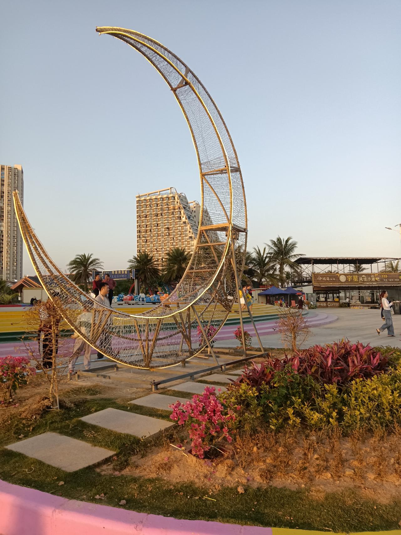 能否分享一张你拍的花卉照片