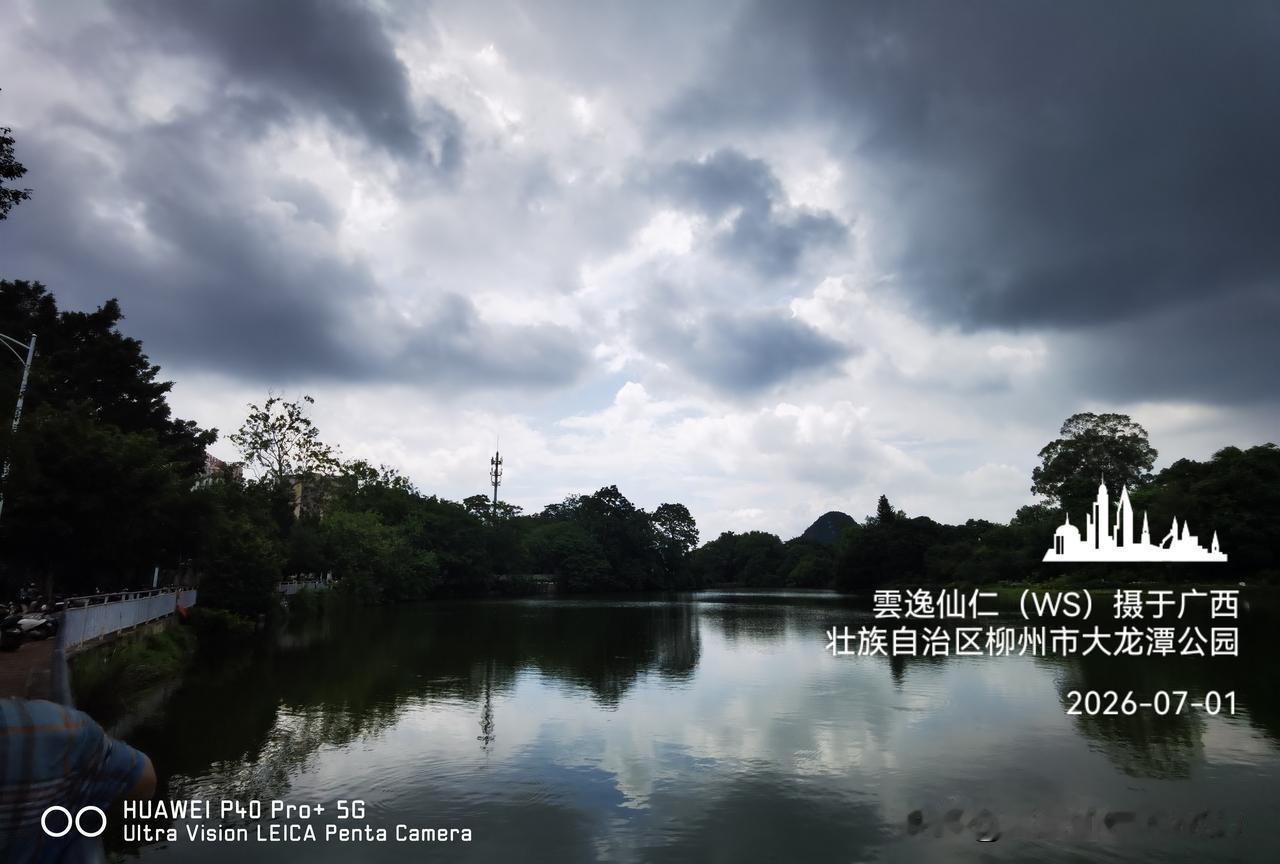 月居生活记录（10171）广西壮族自治区柳州市（209）：会飞的鸭子、白猴、篮框