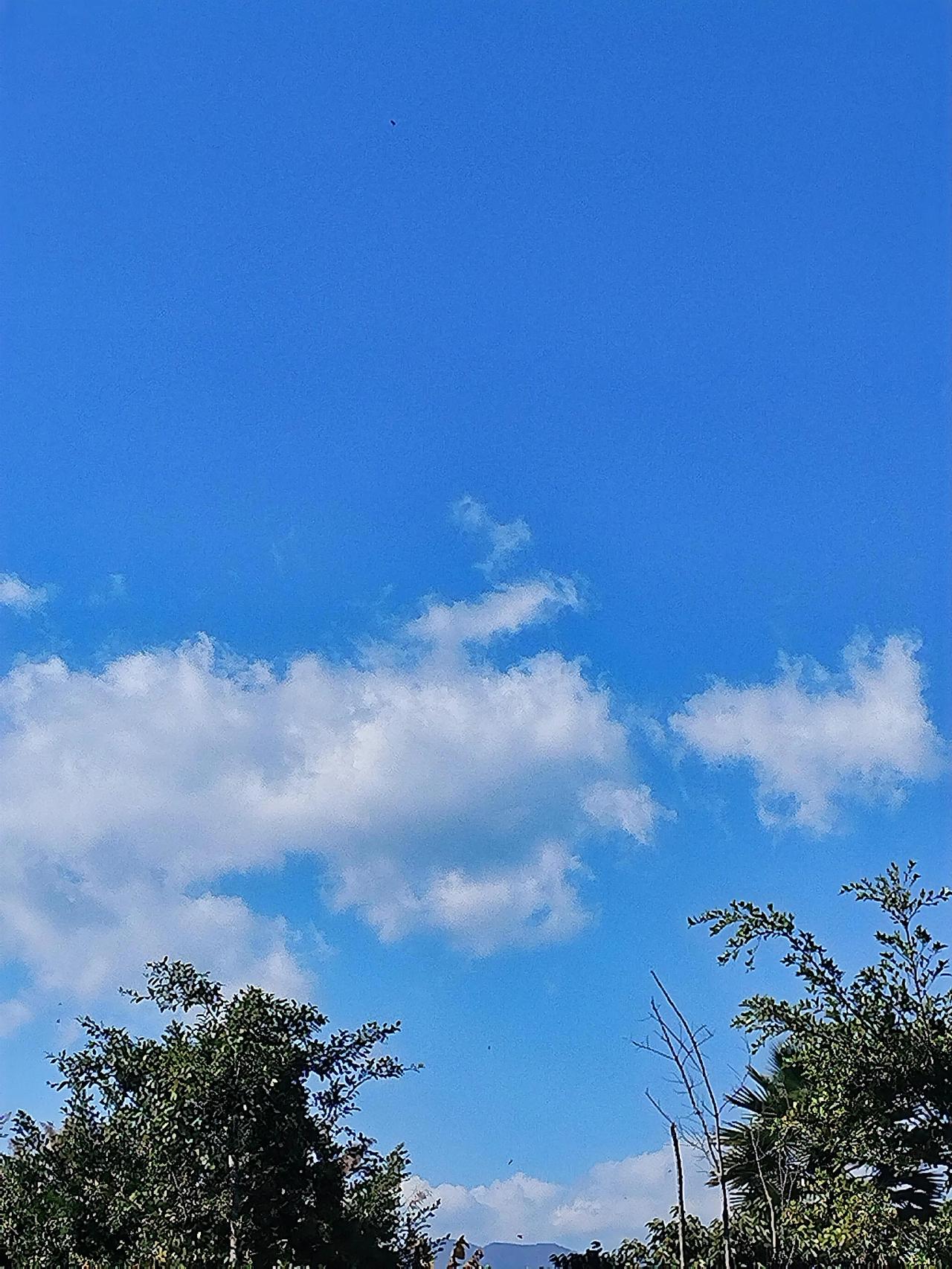 蓝天白云，晴空万里，绿树成荫，心旷神怡。在这样的天空下，每一次抬头都是一场视觉的