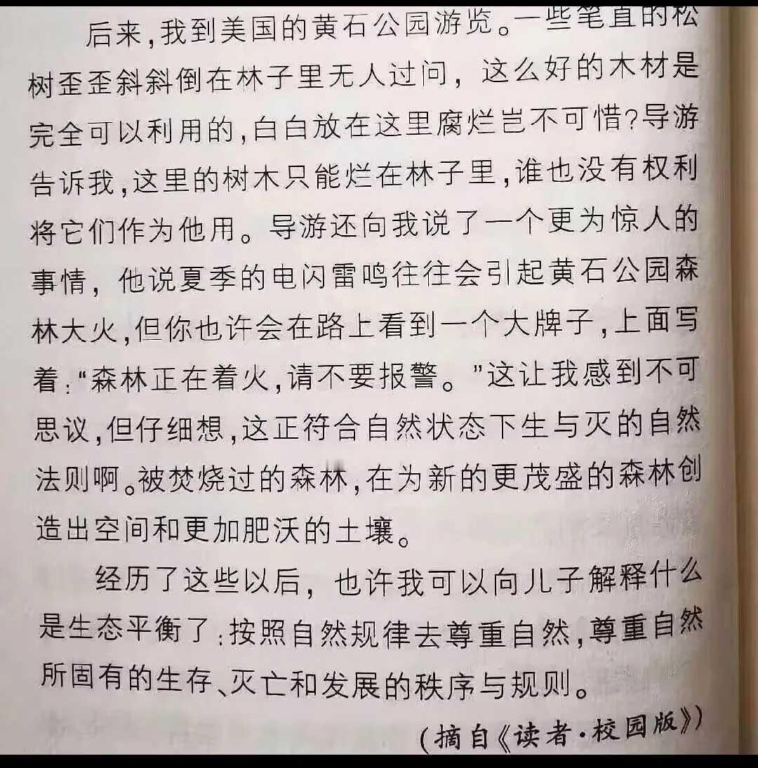 “森林正在着火，请不要报警” 