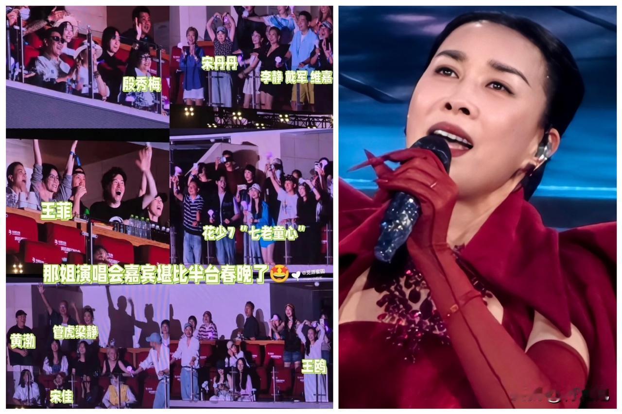 为什么那英能请来这么多明星？

原因其实很好理解。

不是靠她花钱请来的，而是