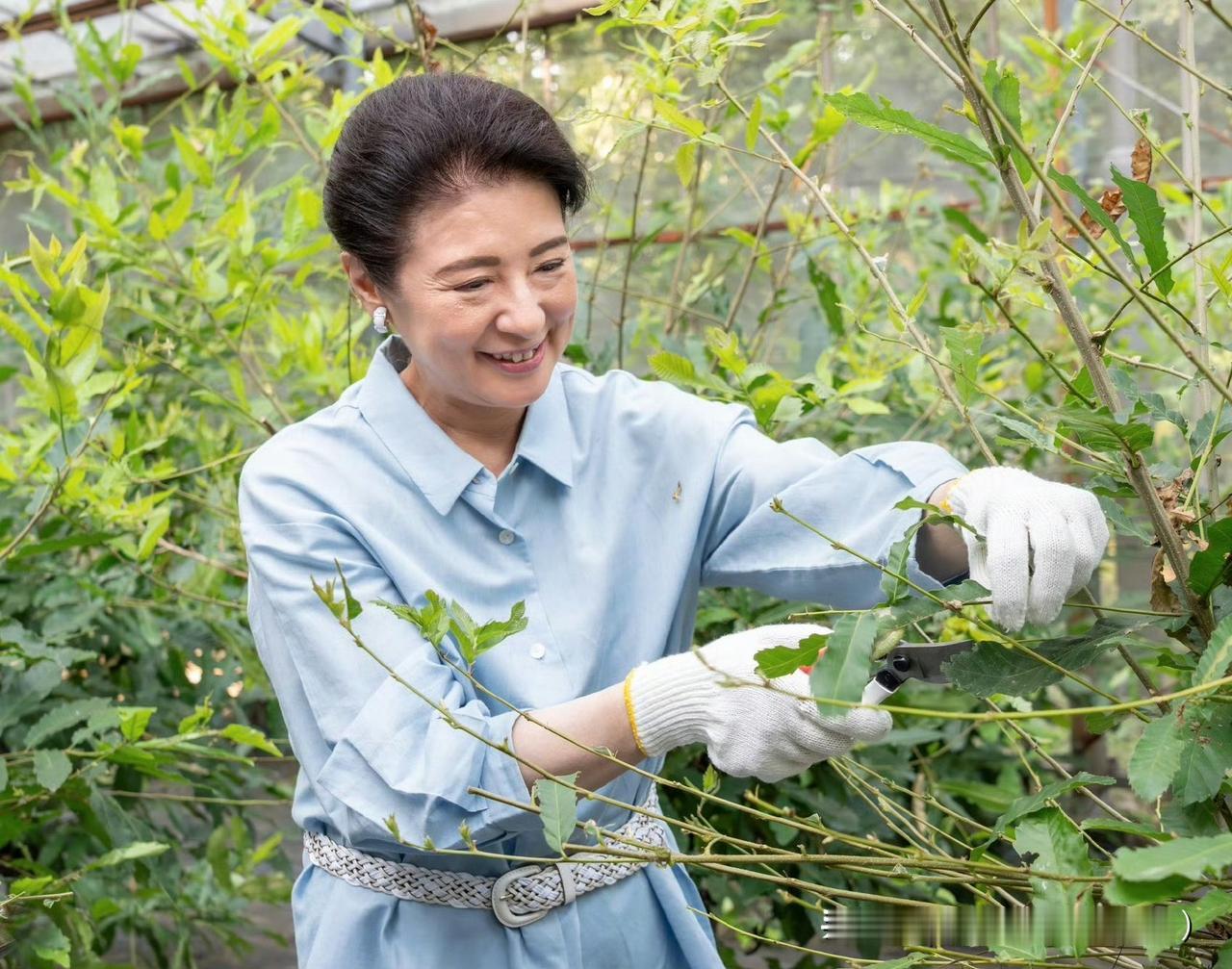 这个公务倒是挺适合雅子的，亲自参与收获，在皇居内采收蚕茧！岁月静好模样！