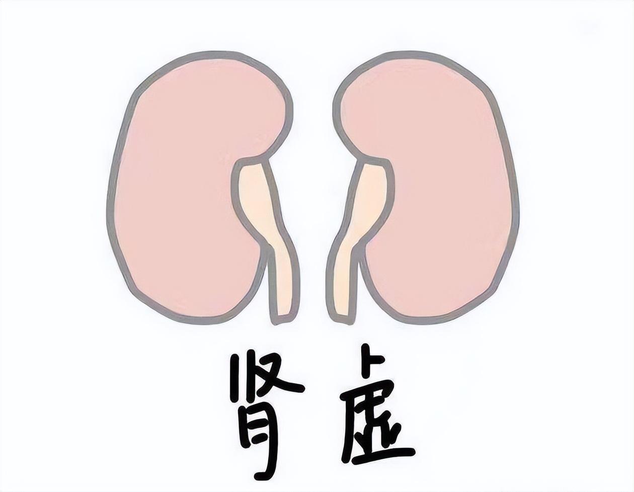 别一不行就用达泊西汀，学会这两招，帮你彻底扭转肾虚局面

很多男性朋友都被肾虚所