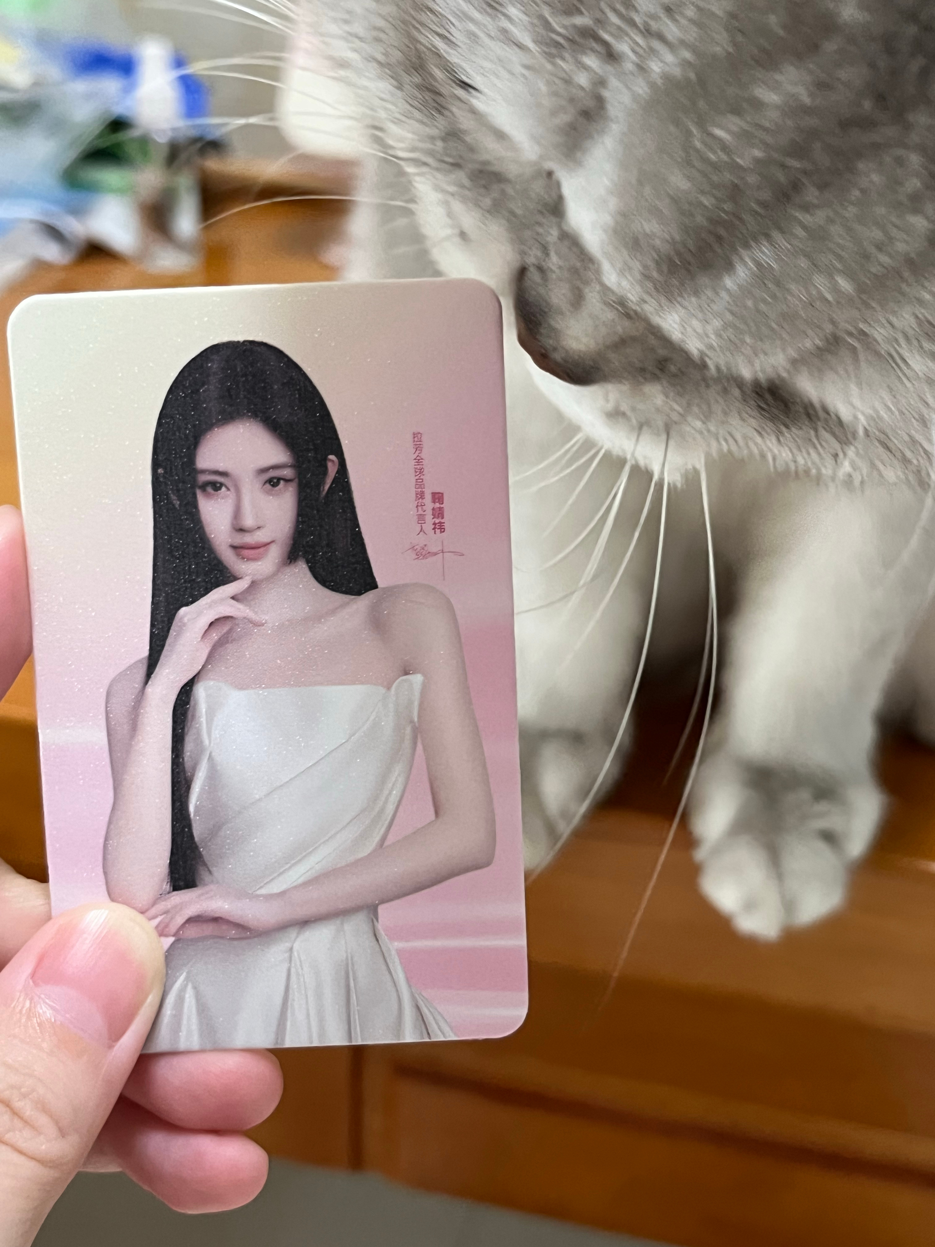看到美貌崽崽心情好